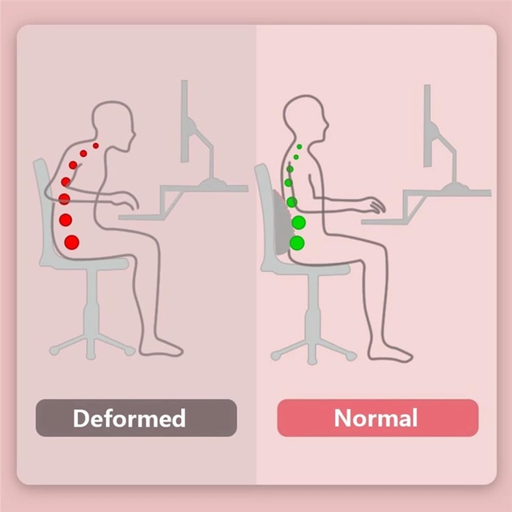 เบาะรองหลังสำหรับโยคะ ช่วยพยุง - Yoga Fitness Trainer บทวิจารณ์และราคา